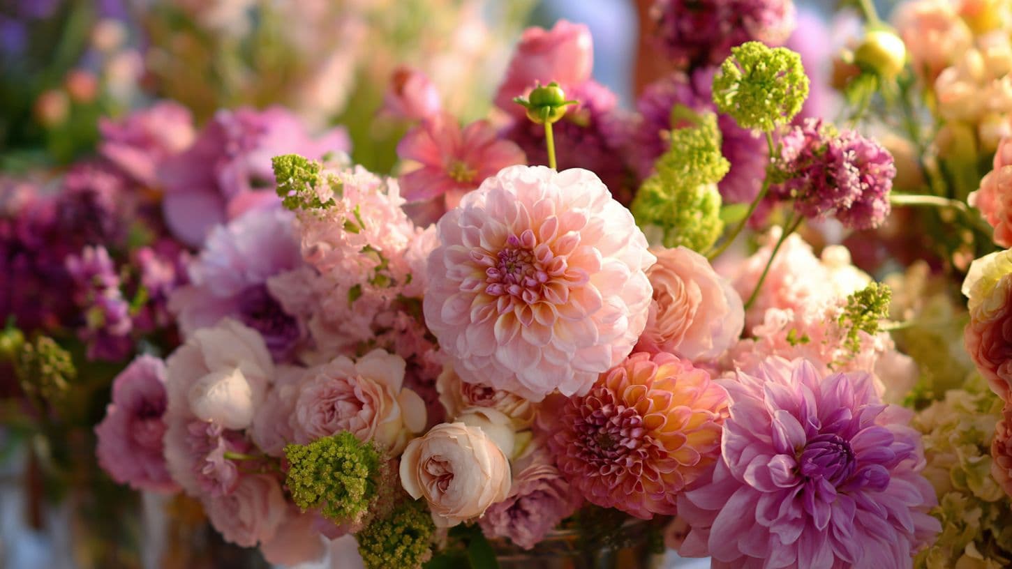 The Incontinence Solution That Preserves Dignity (And Why Most Companies Ignore It)